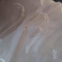 The burns in the blanket