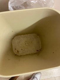 Took the trash bag out to use the mop found this. In all the trash cans in the room