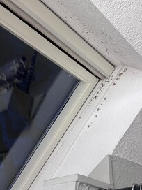 Mold by the upstairs bathroom window.