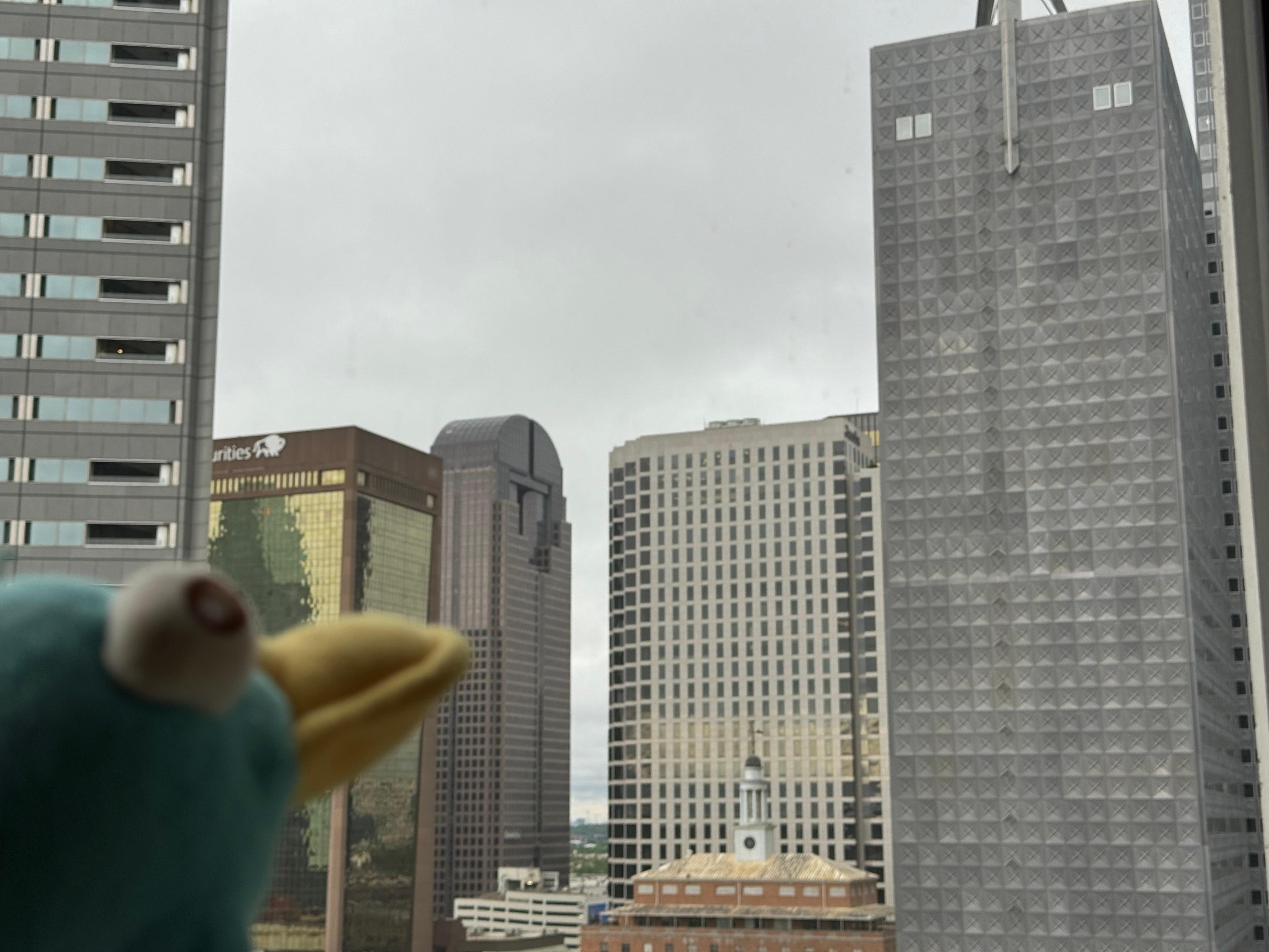 A nice view of downtown. 