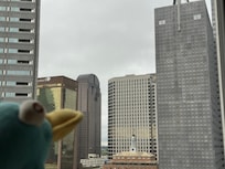 A nice view of downtown.