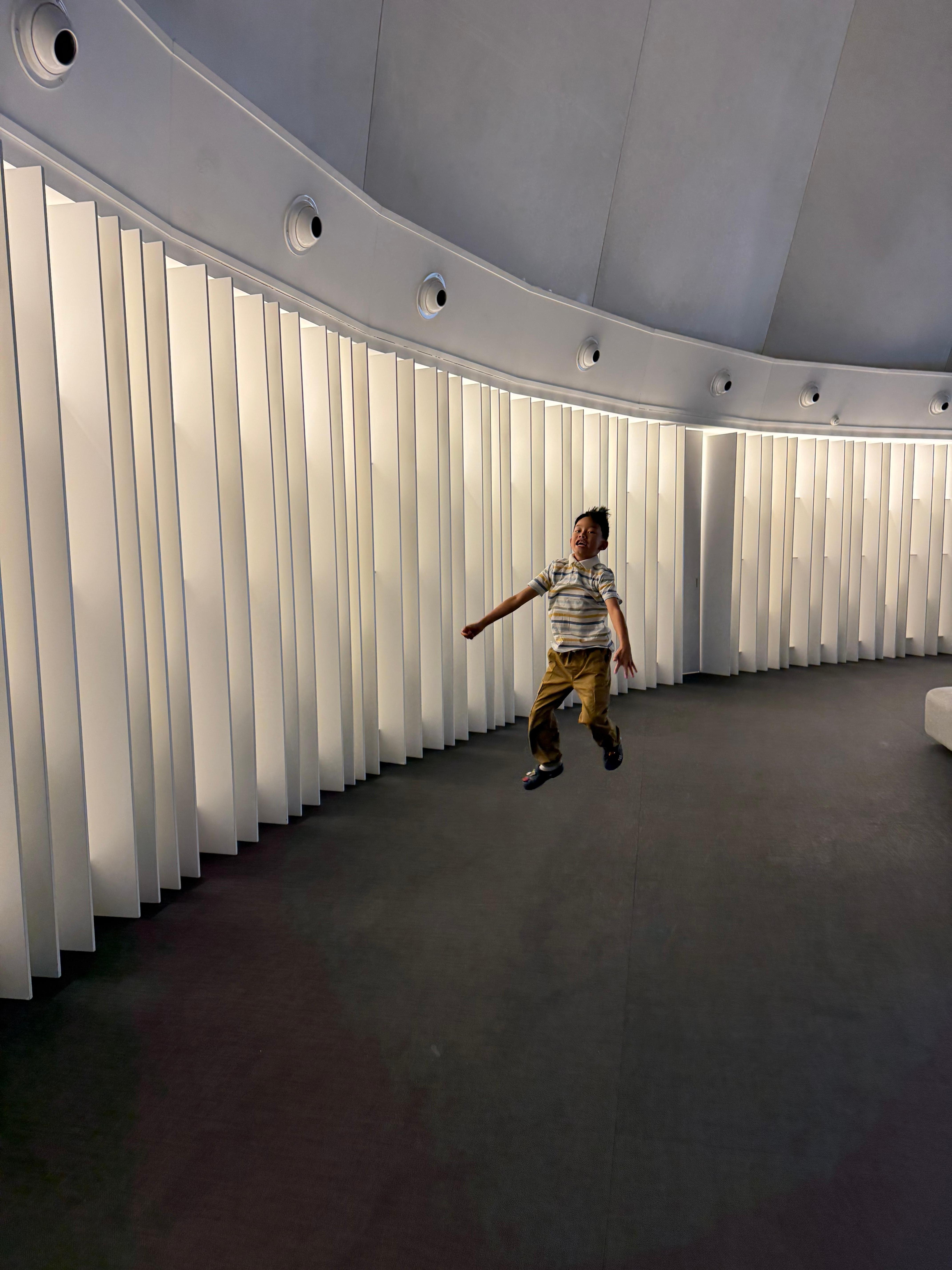 shelves - as an artwork