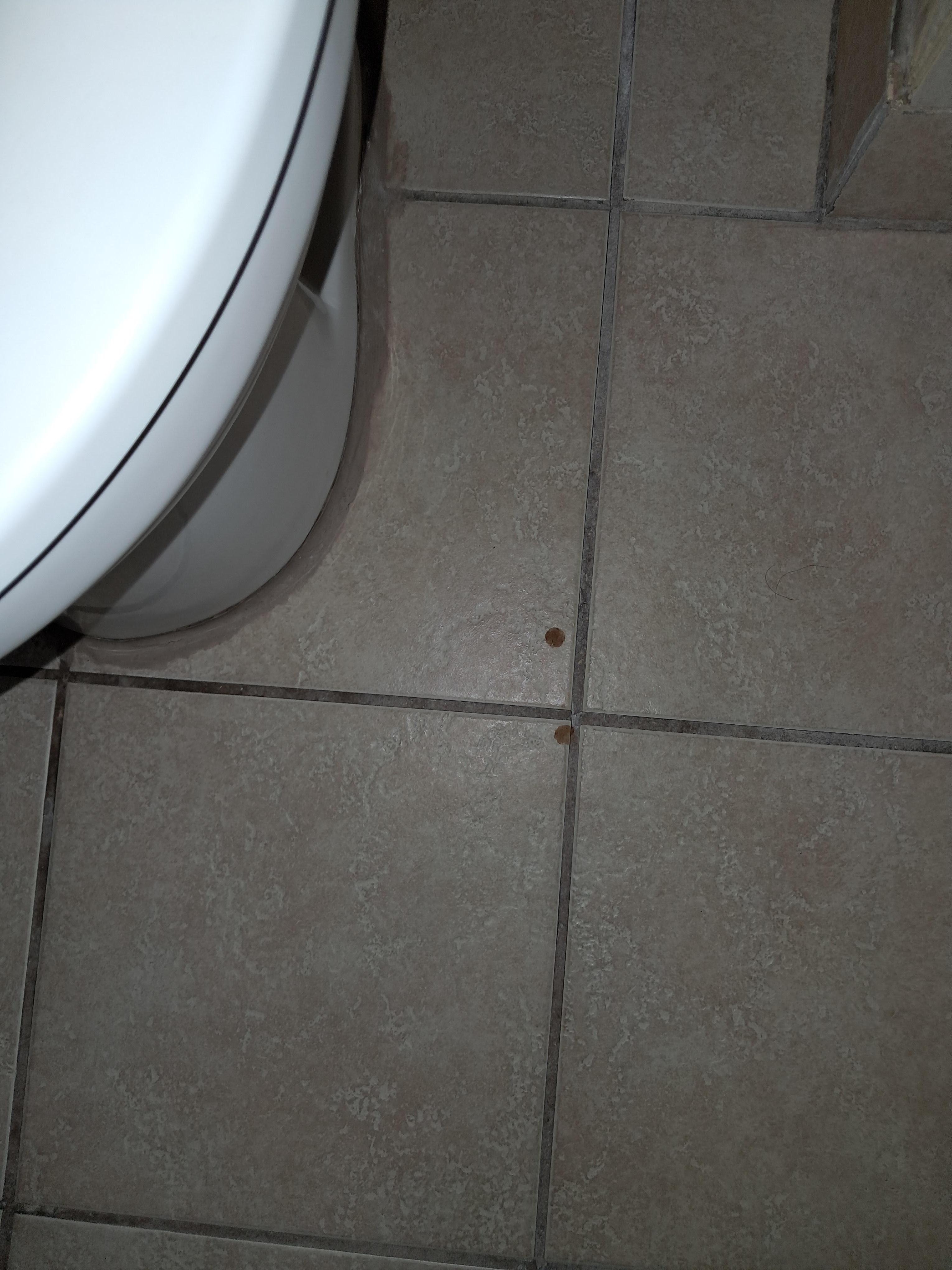 Poop droplets on the bathroom floor