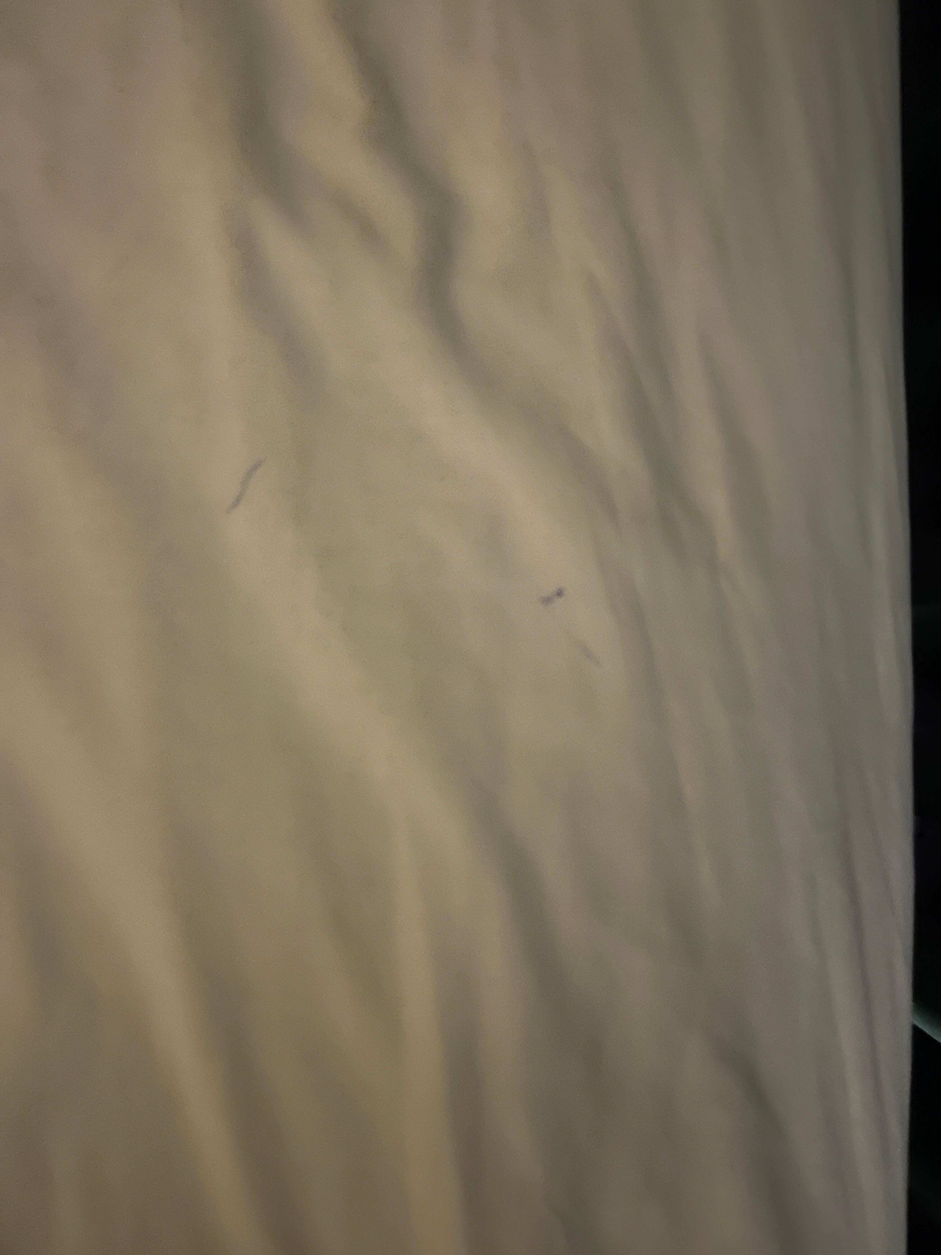 Dirty sheets