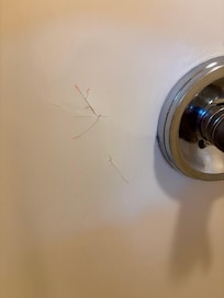 Cracked shower