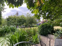 Part of the garden near the pond