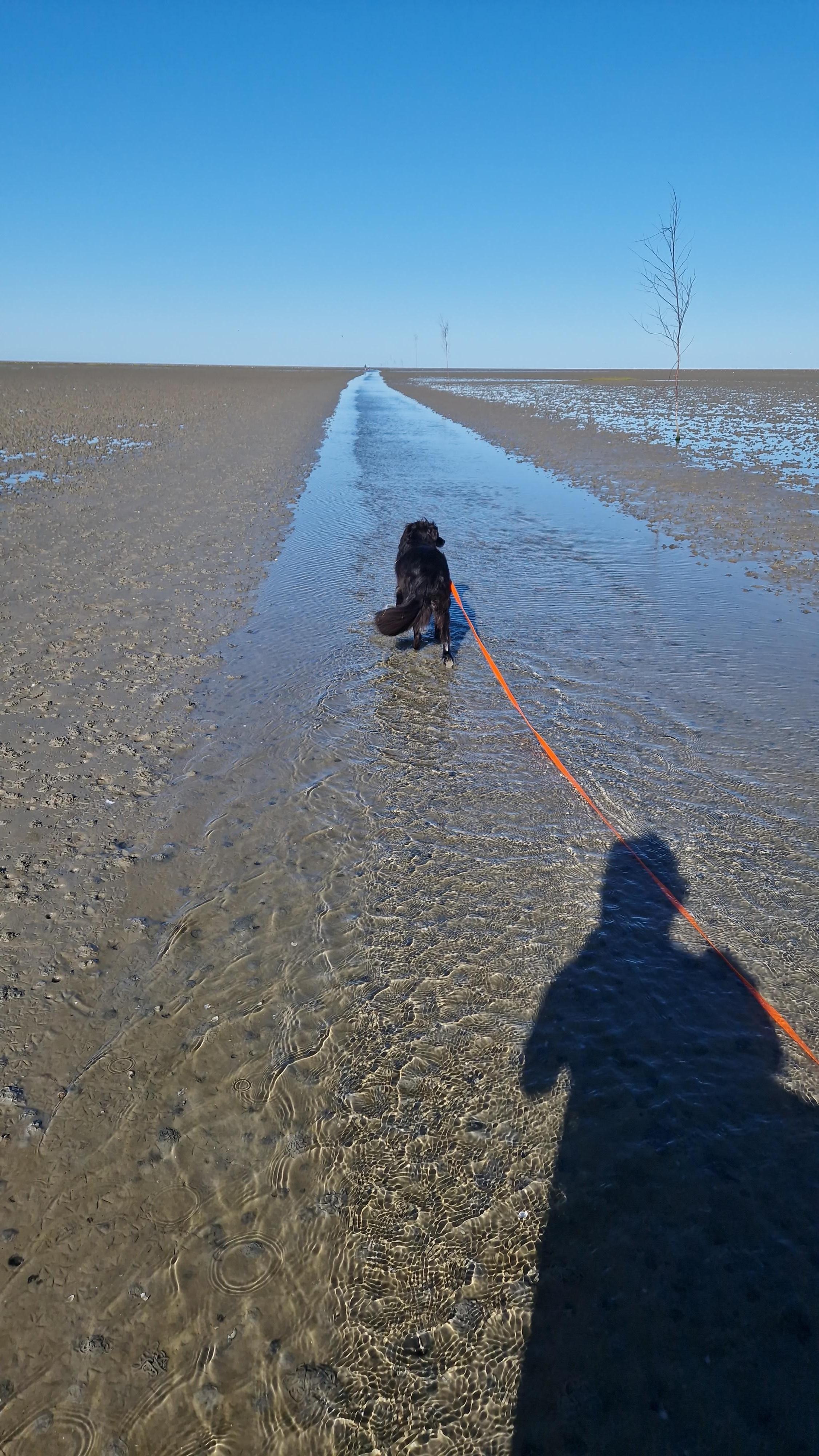 Auf der Insel Mandö