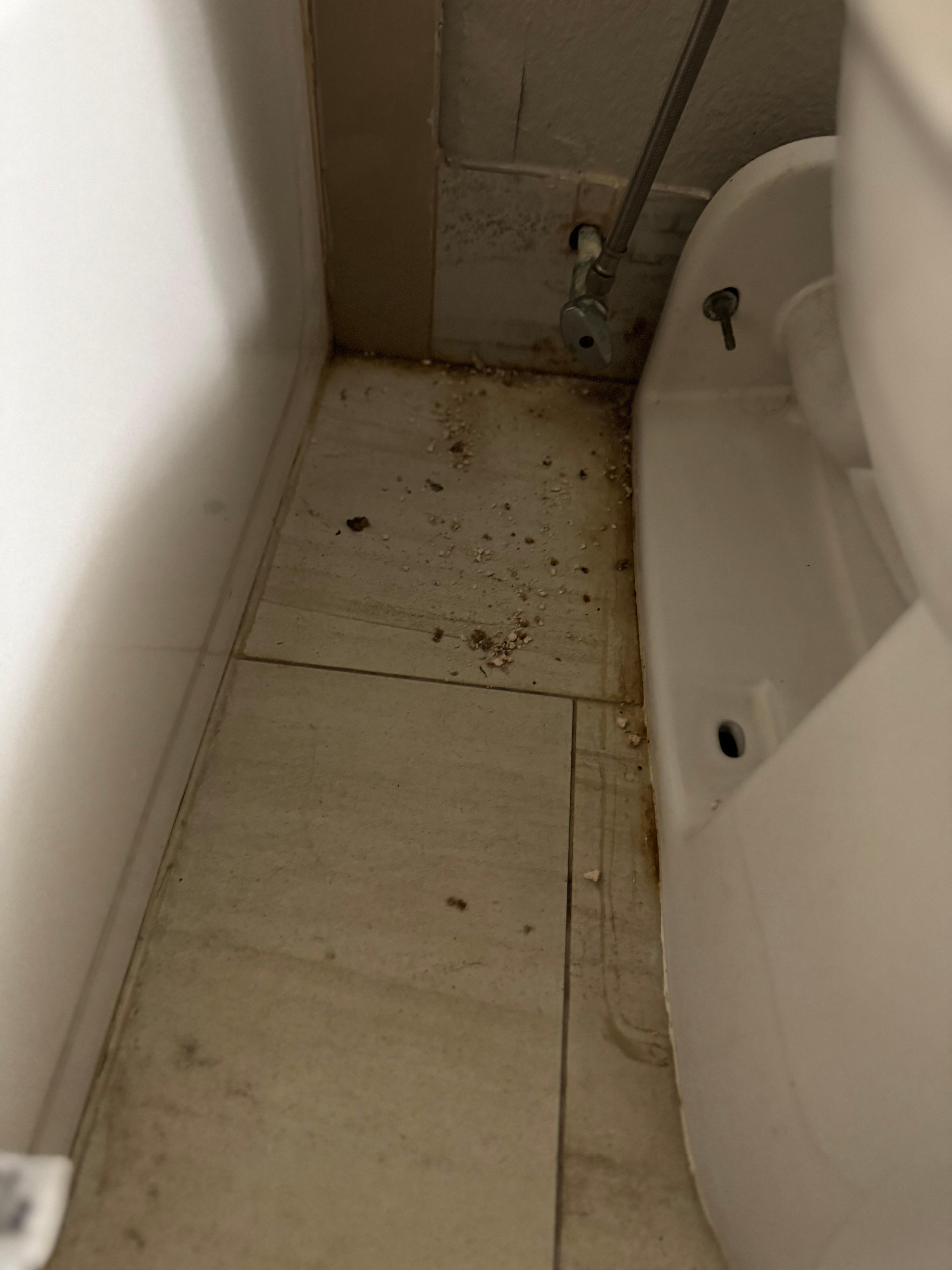 Bathroom floor dirty