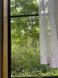 View from the window.