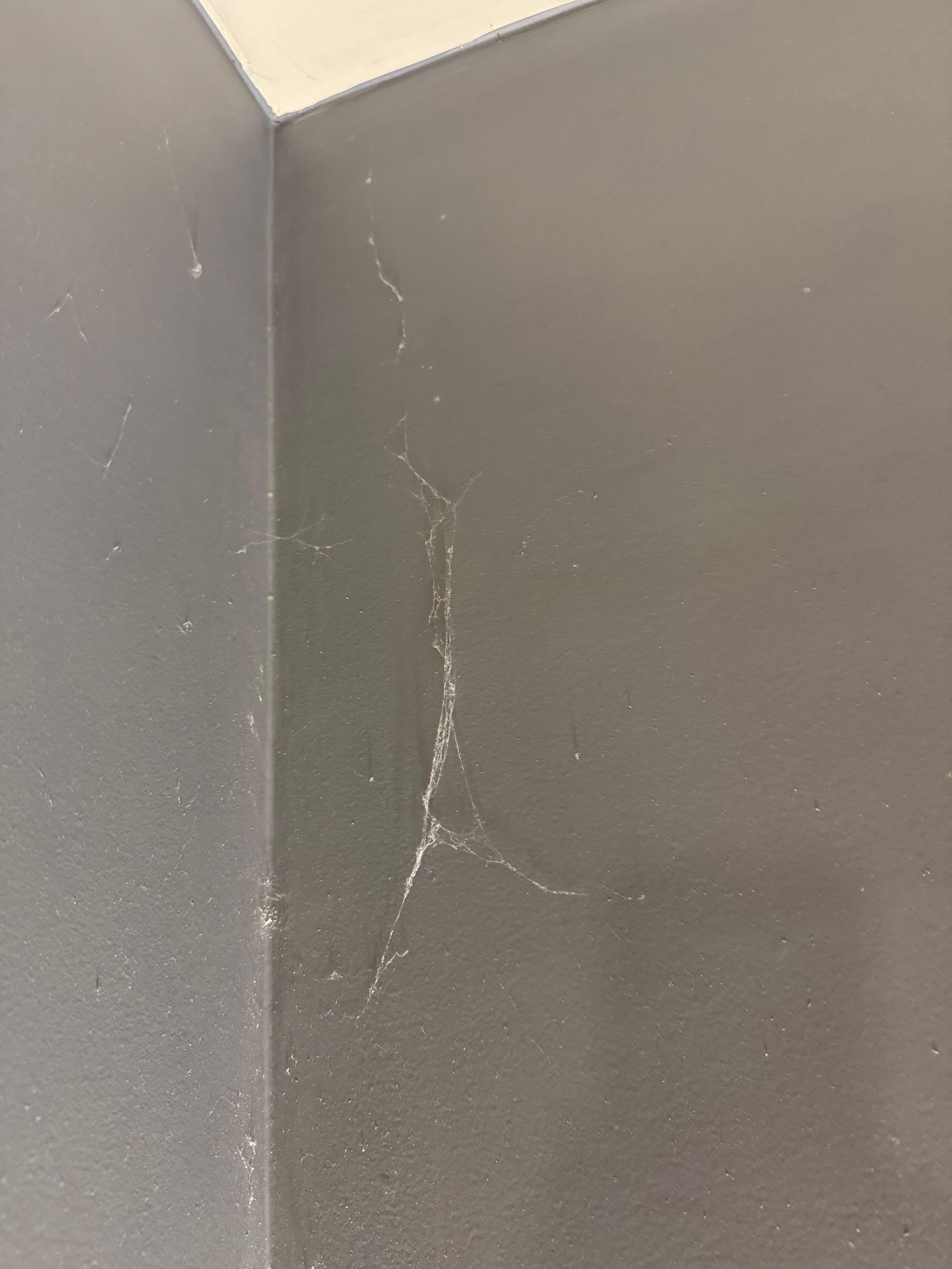 Teias de aranha acima da cama casal