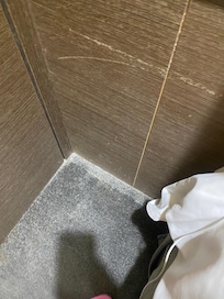 地毯發霉