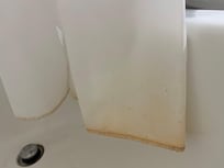 Mold on curtain