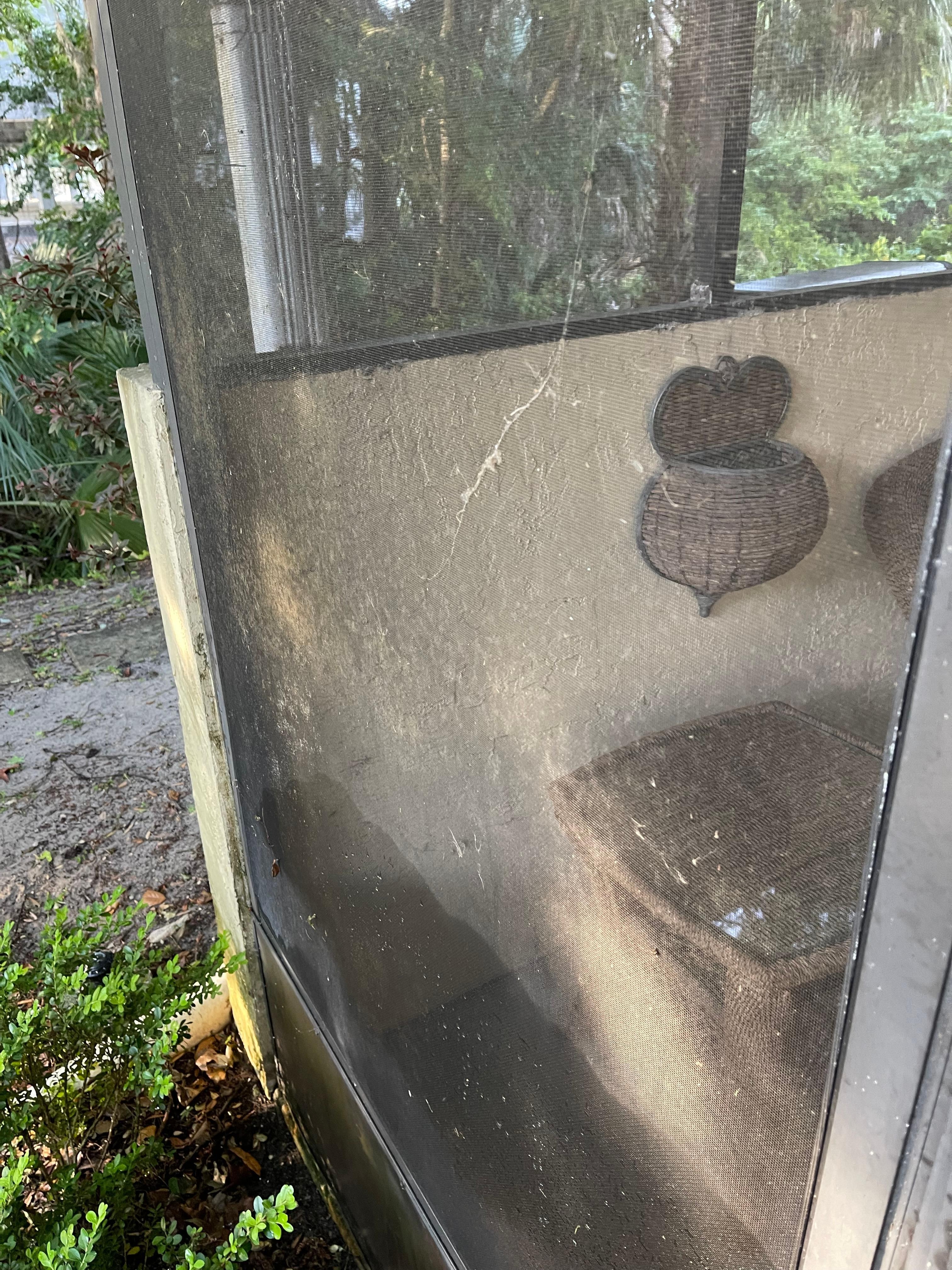 Patio screens need cleaning