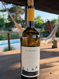 Wine from the Vineyard art Al Girsole