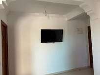 The tv
