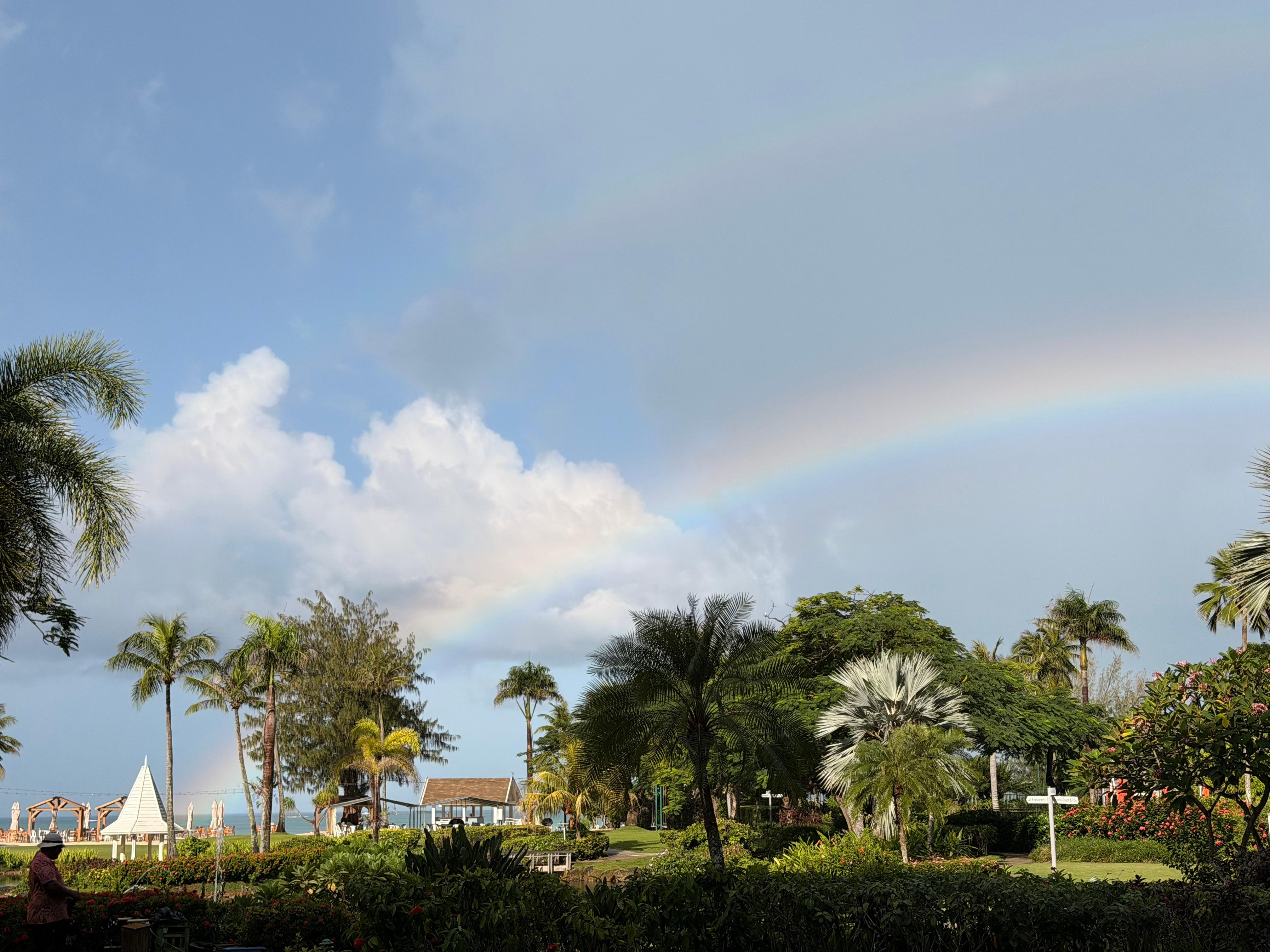 ロビーからの眺め