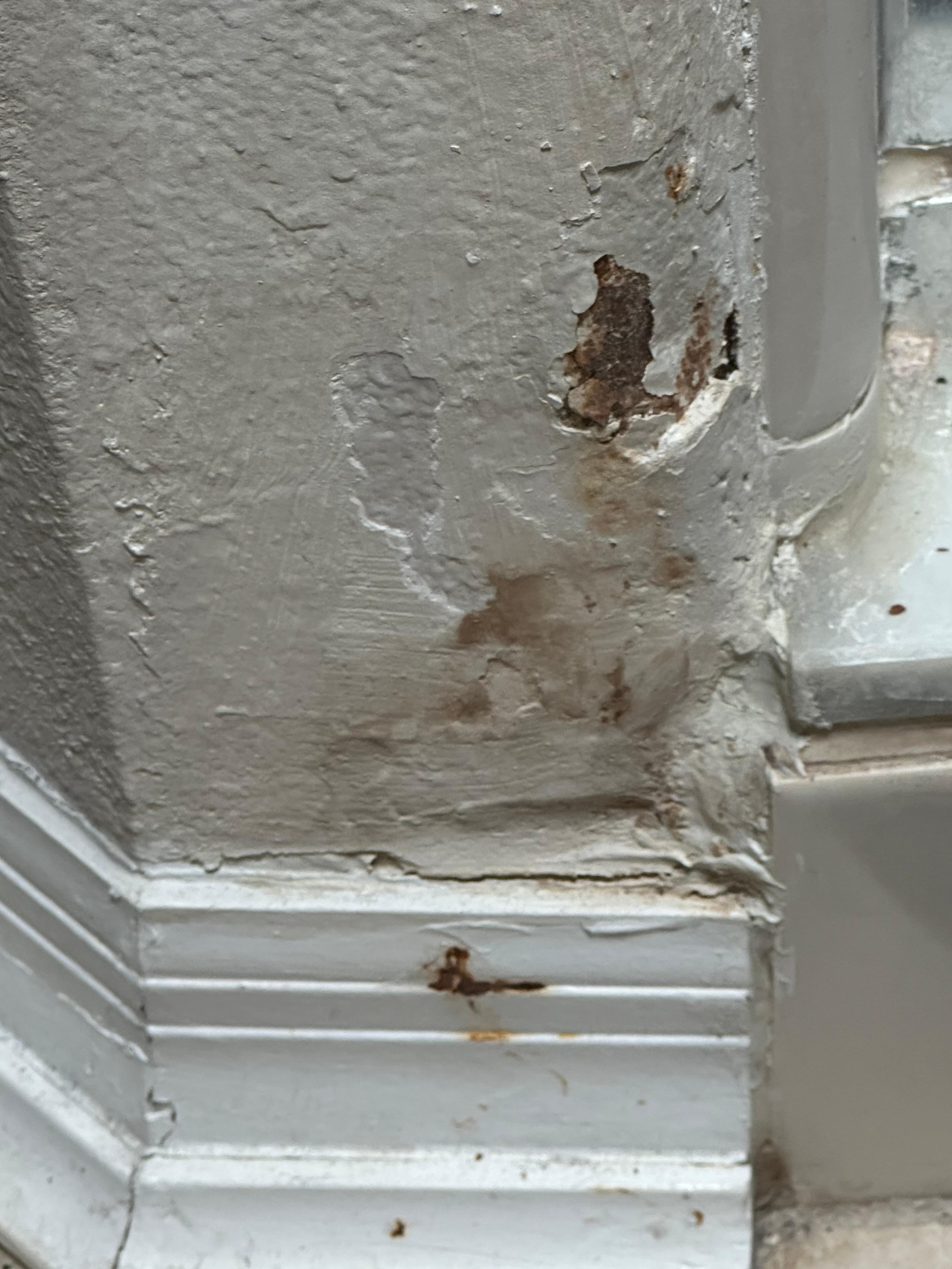 Corner wall by shower 