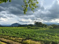 surrounding area