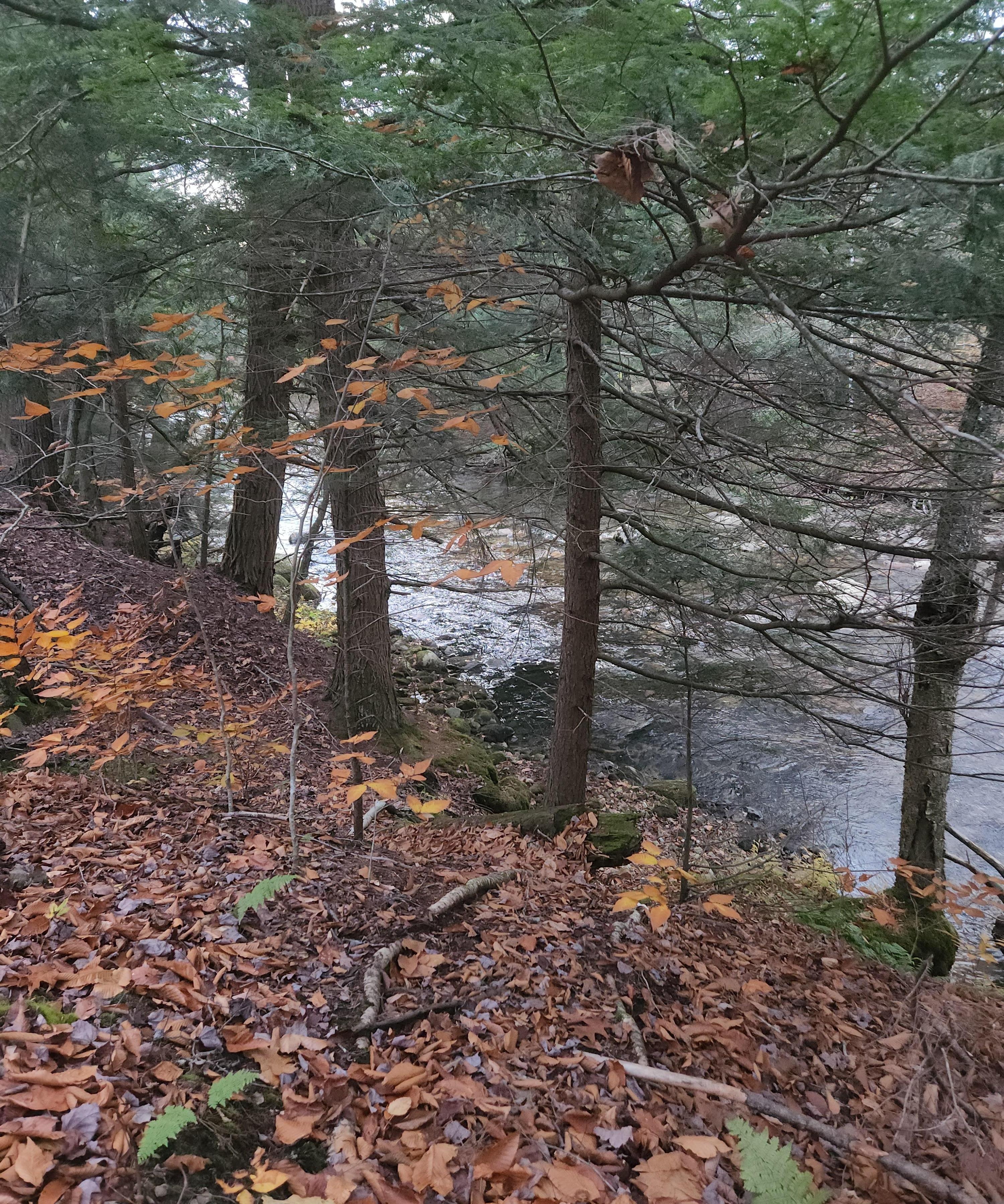 Nice walk to the river.