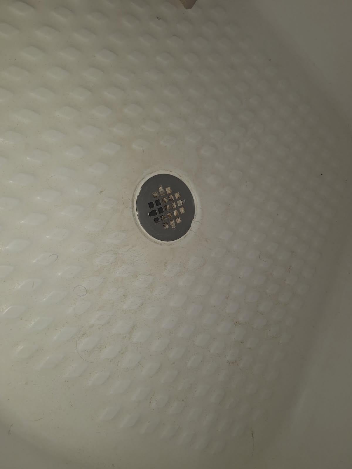 Hair in outside of drain plus mold in shower