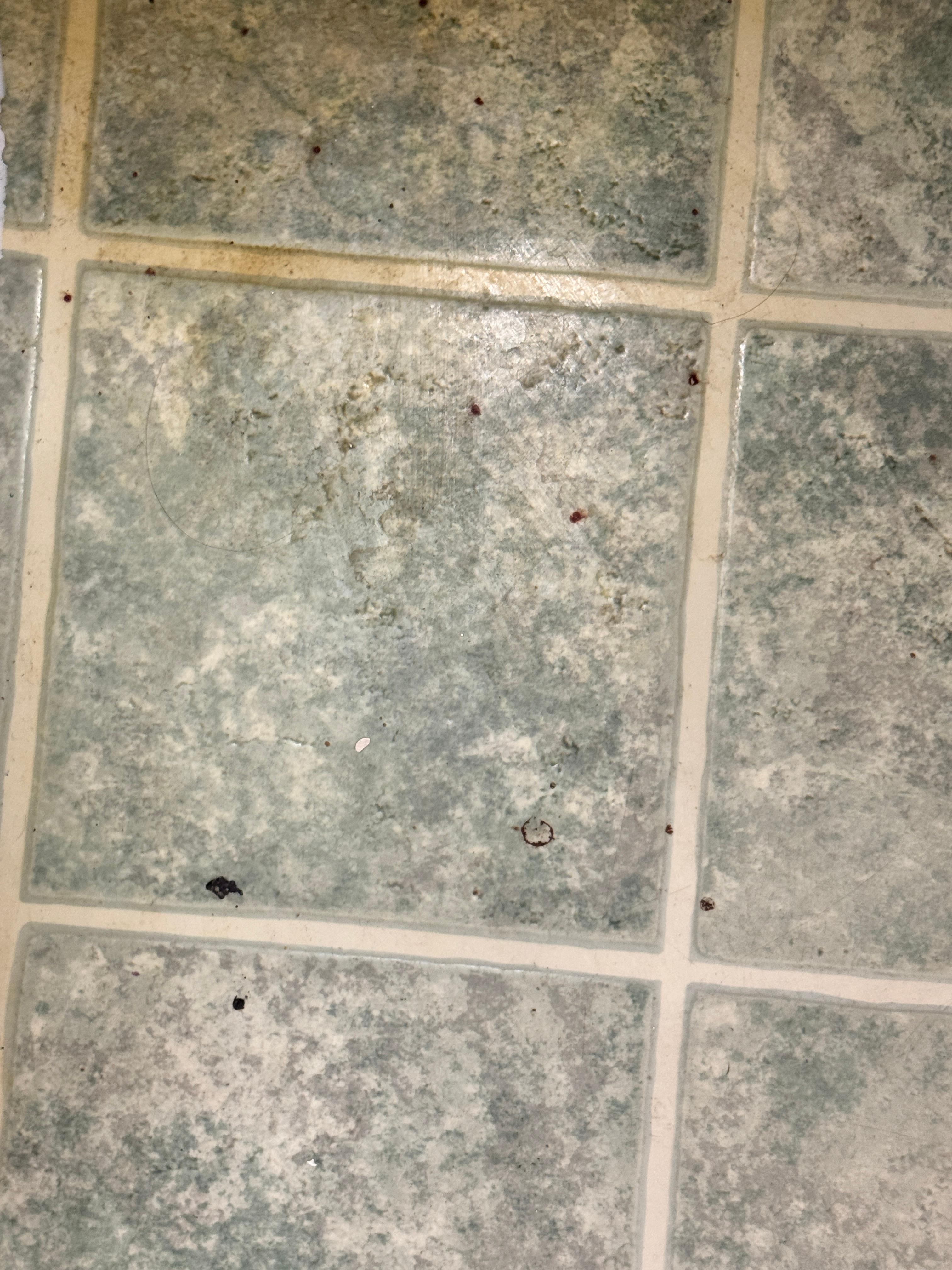 Bathroom floor