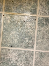 Bathroom floor