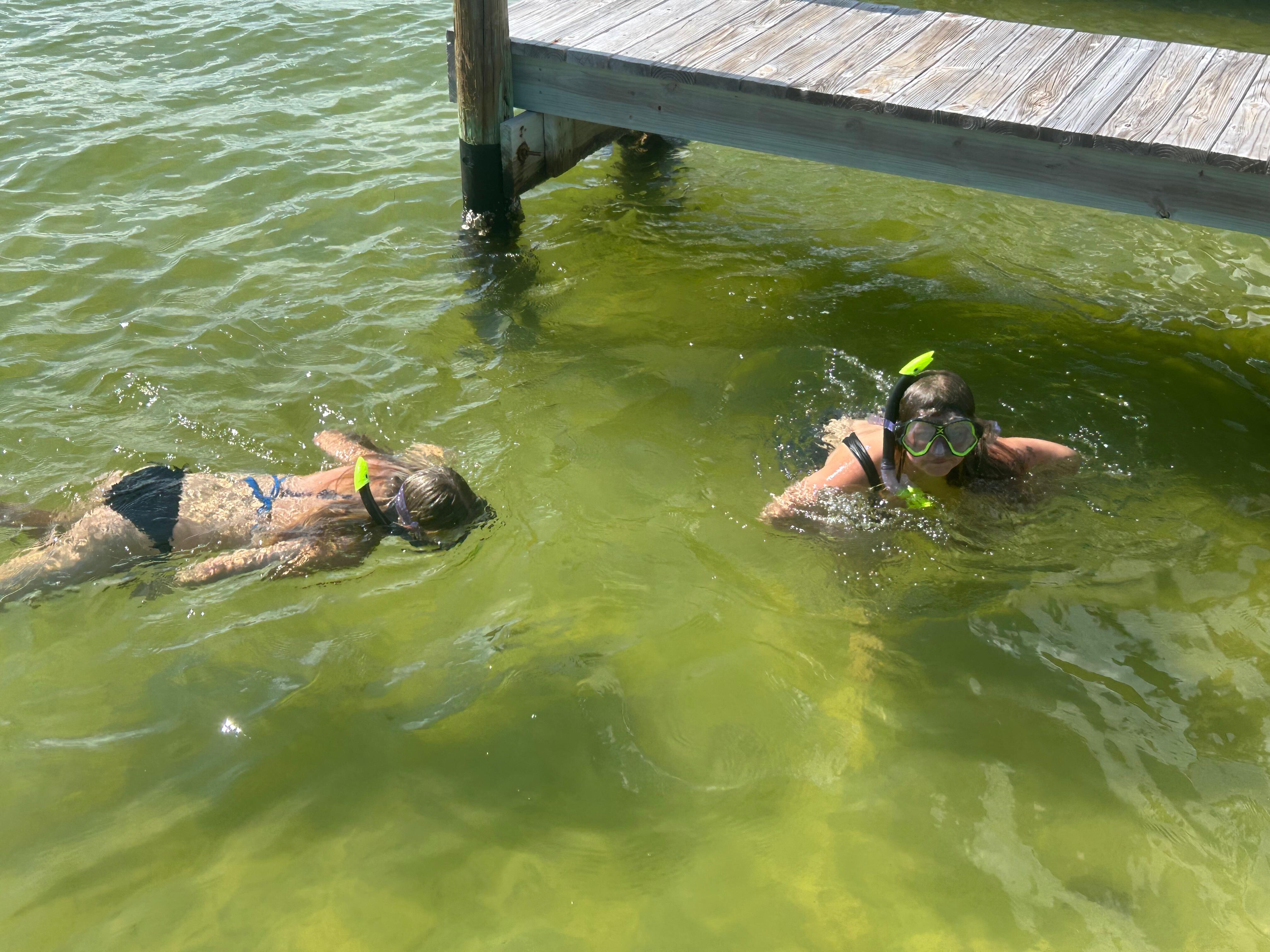 Snorkeling by the private dock