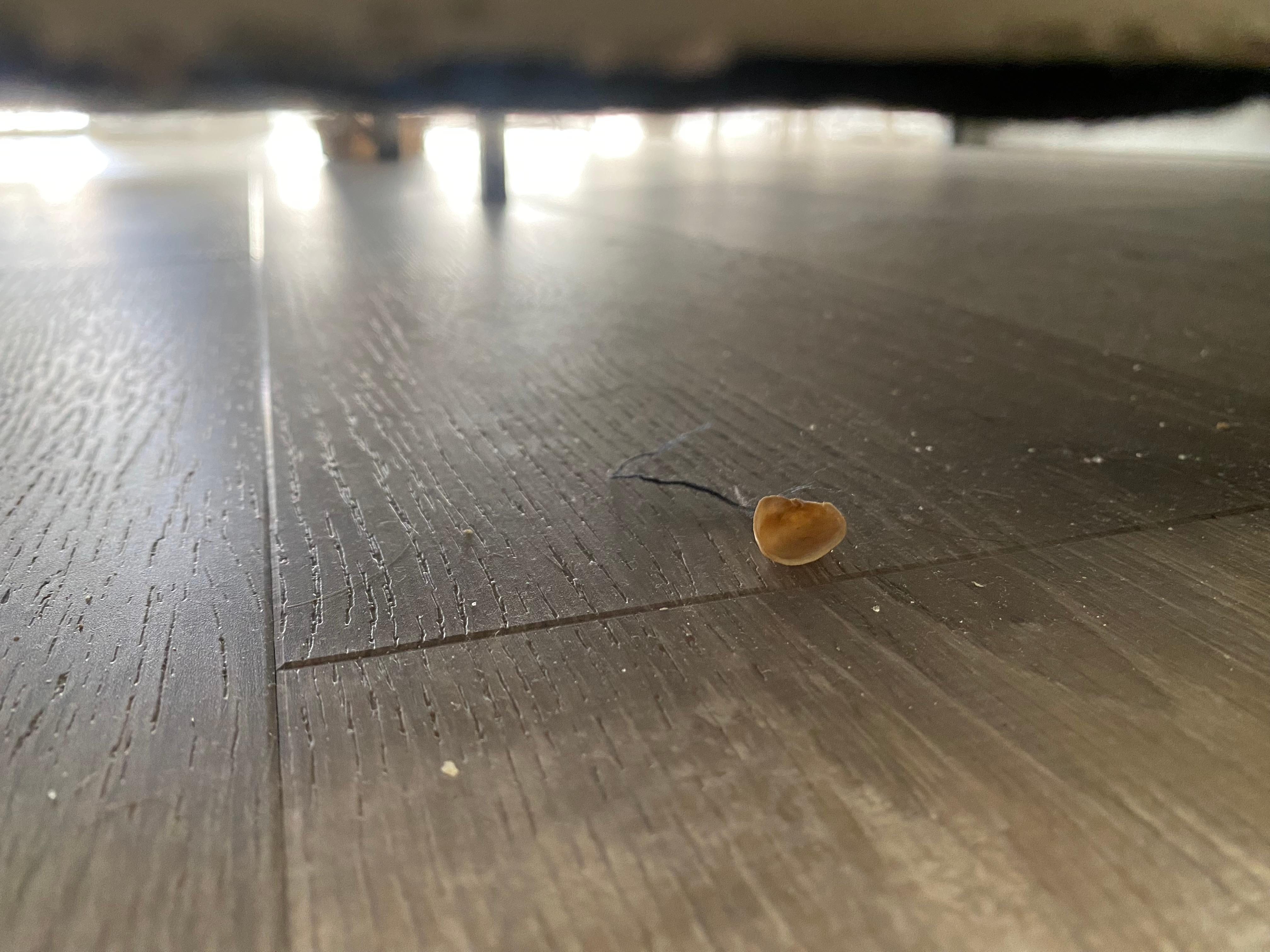 Very dirty floors