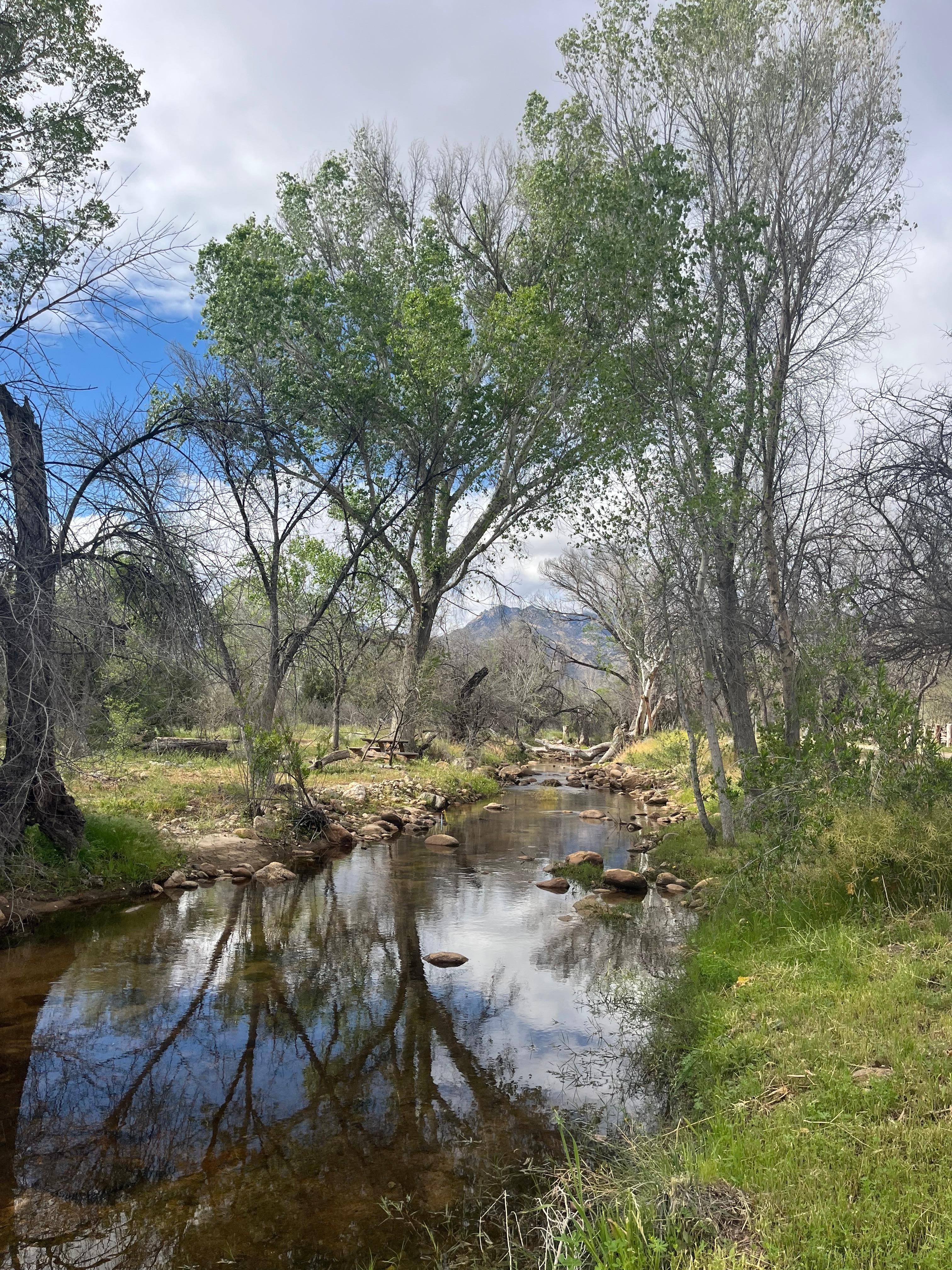 A walk close to the property 