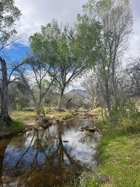 A walk close to the property