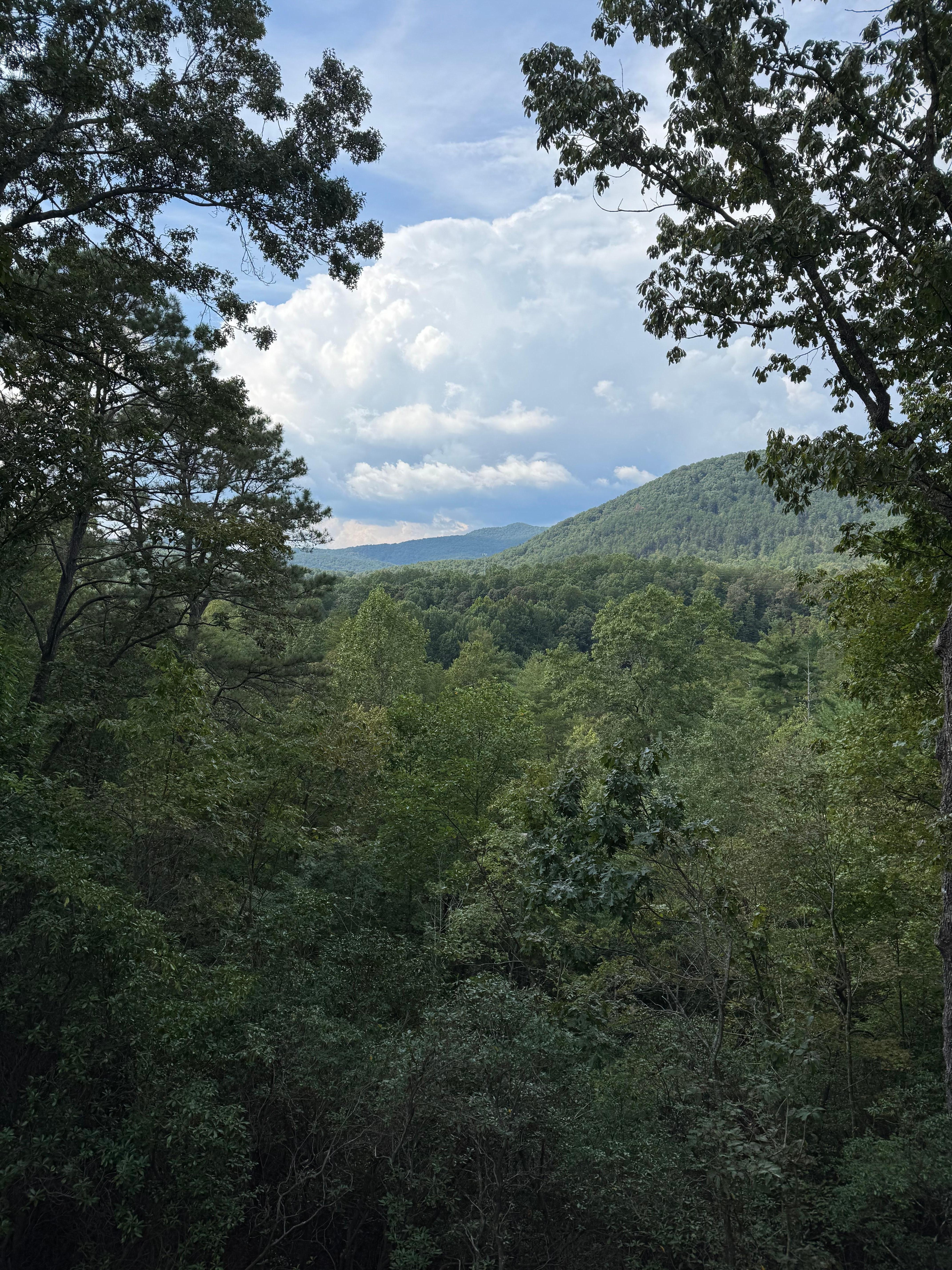 View from the porch.