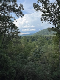 View from the porch.