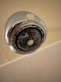 Disgusting shower head