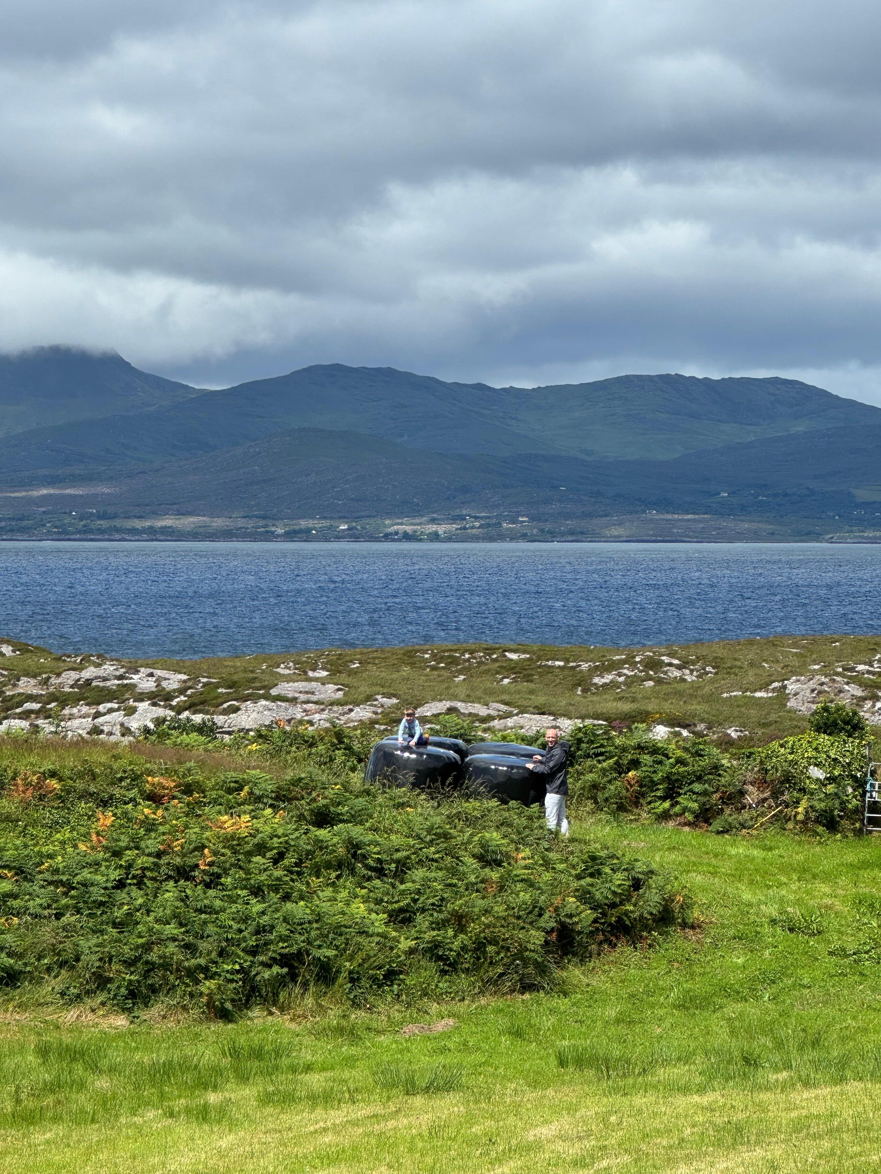 View from side of house