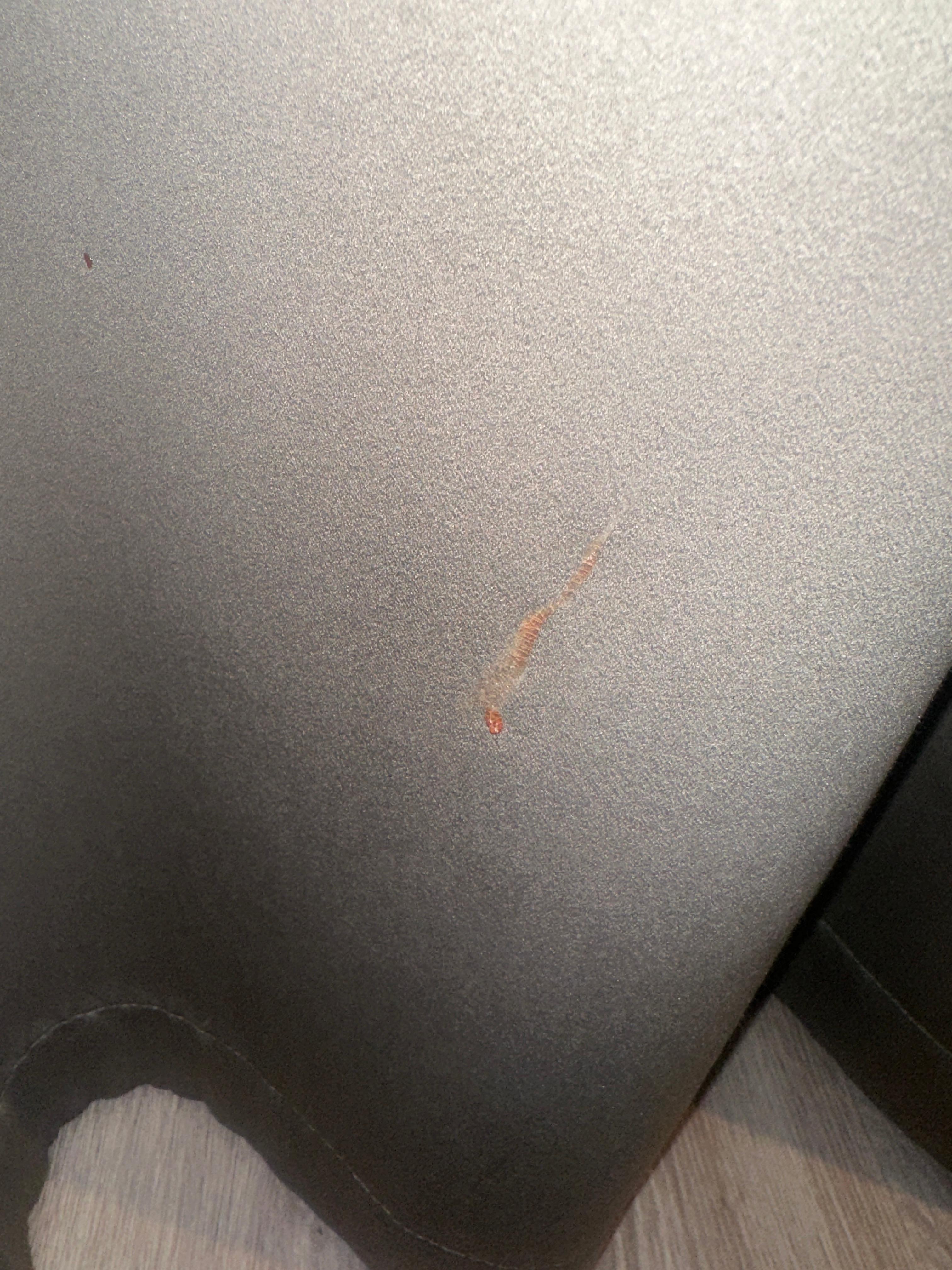 Blood on the curtains next to the bed 