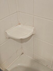 Mold/mildew in the bathtub