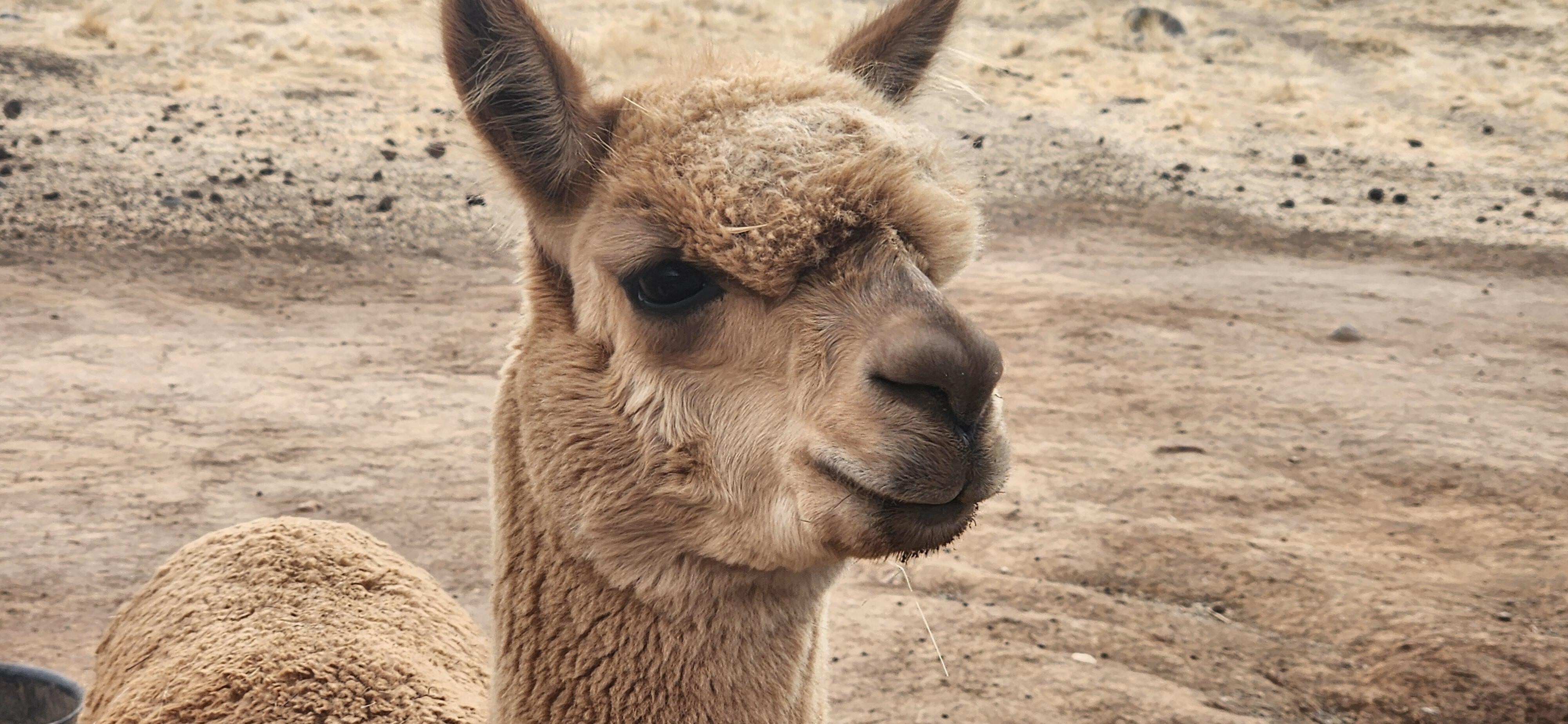 I forgot to ask his name 