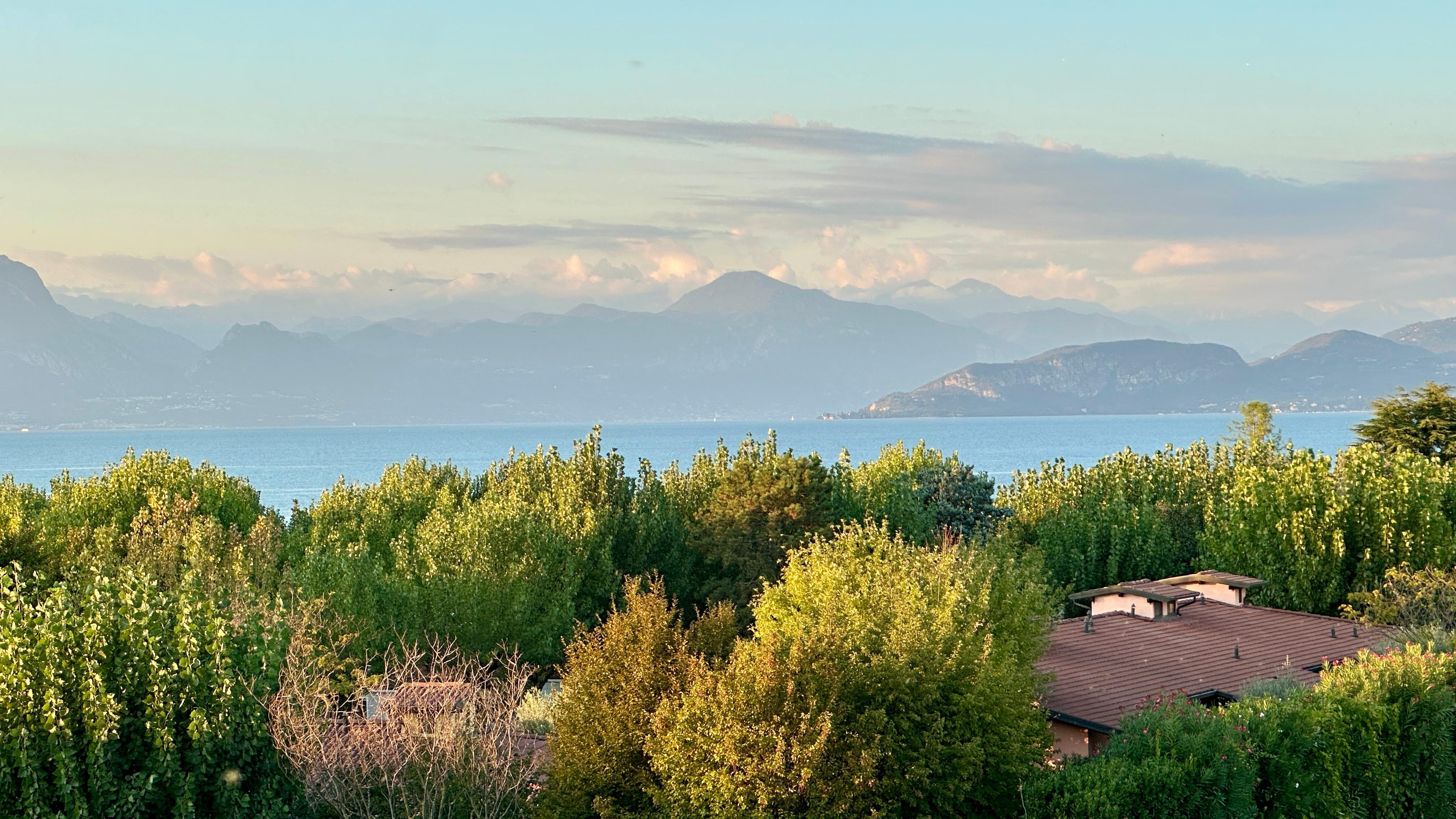 View from the rooftop deck.
