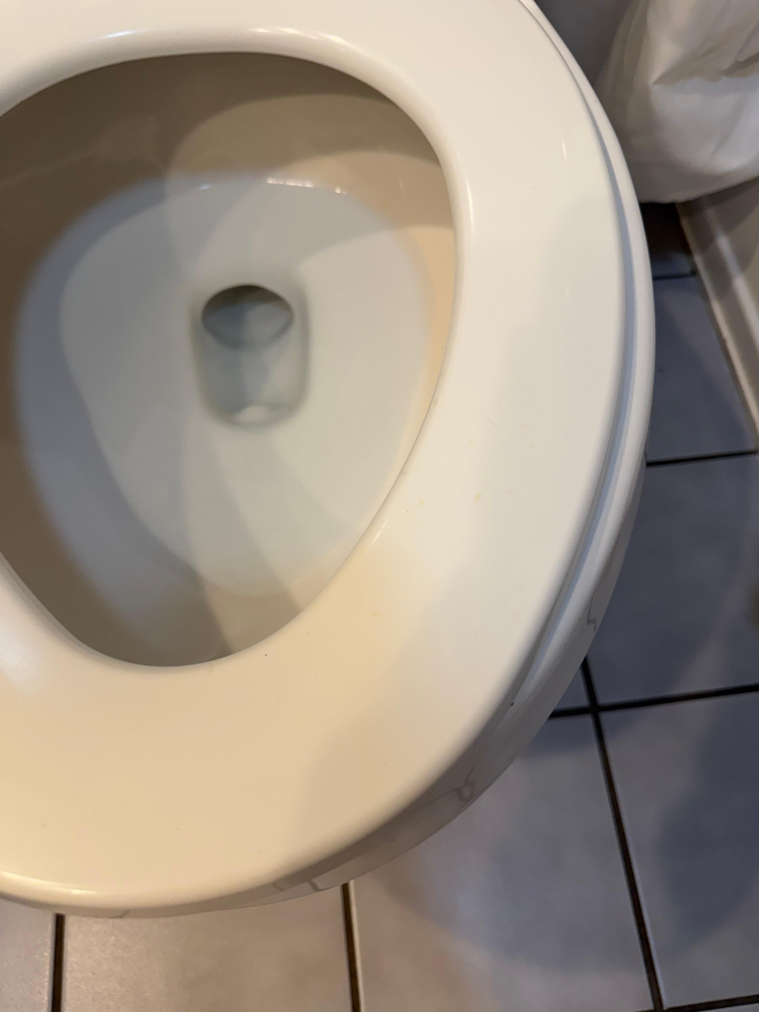 Siège de toilette rempli d’urine séchée. Je tente de mettre des photos du plancher sale et de la moisissure sur les meubles, mais votre site ne les accepte pas.