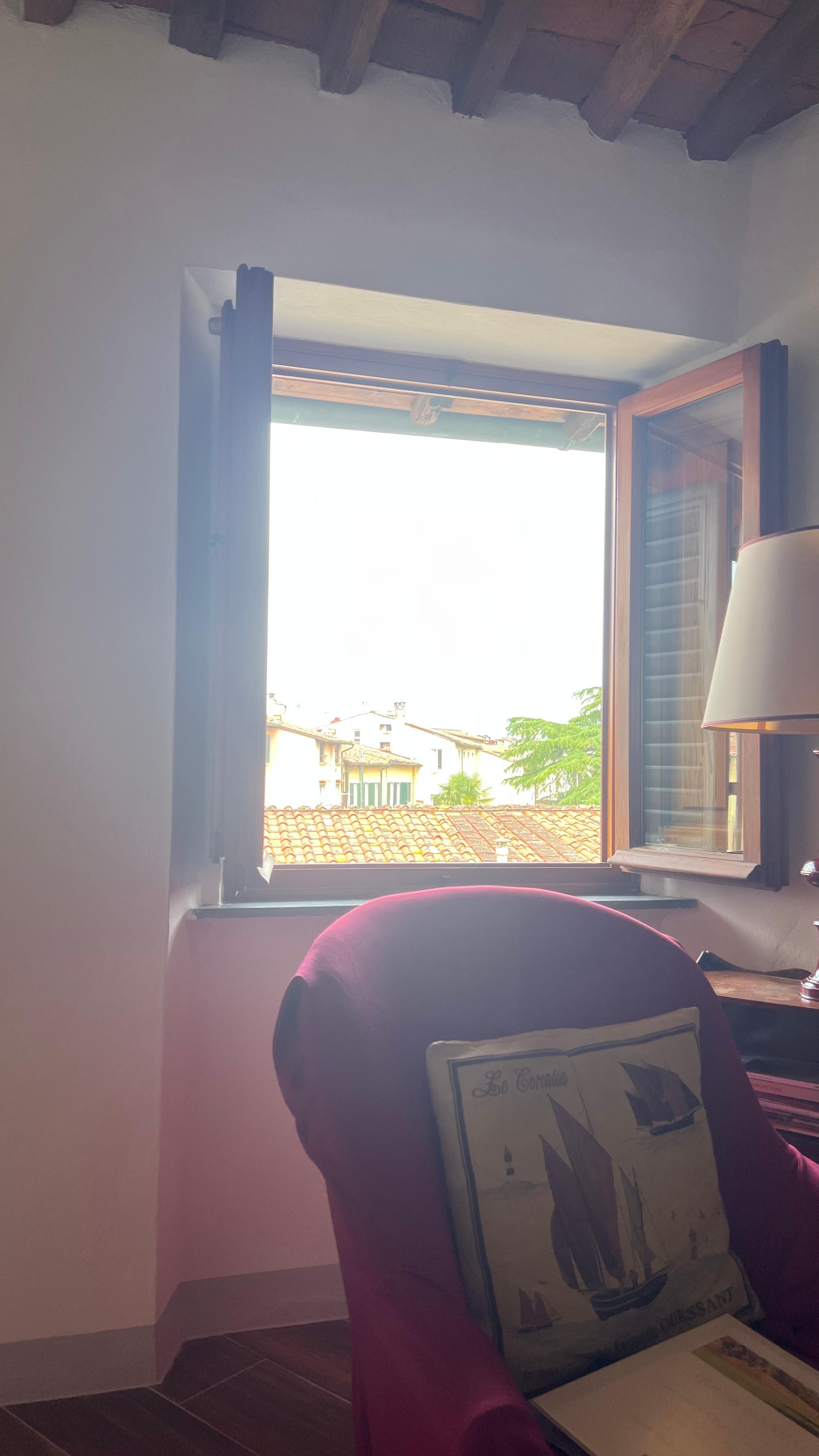 View from living room. 