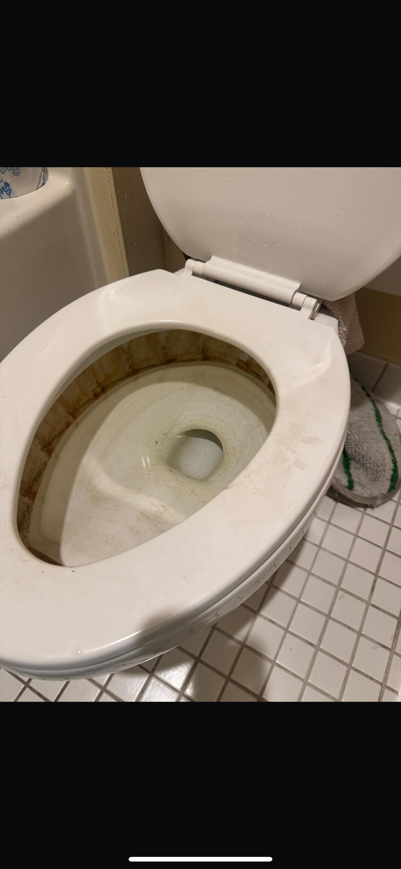 This was the condition of the restroom and it had poop on it since we flushed it