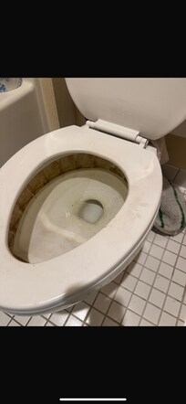 This was the condition of the restroom and it had poop on it since we flushed it