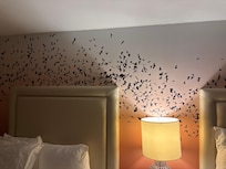 Bat theme rooms