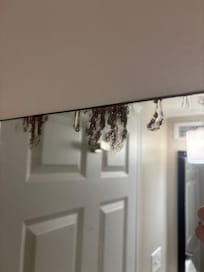 Black mold