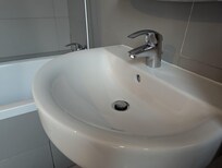 Ants all over the bathroom and bedroom
