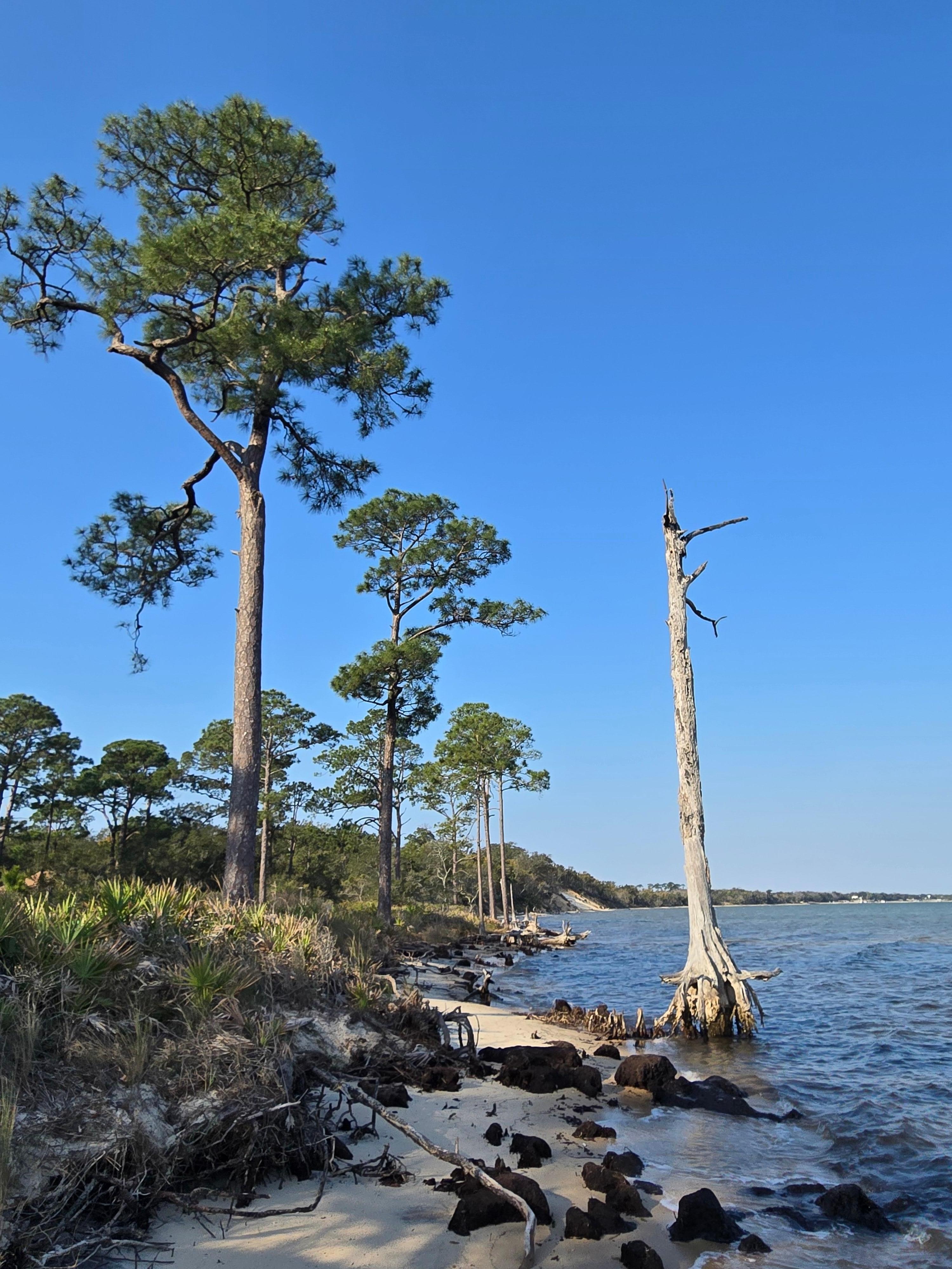 Naval Station Live Oaks Trail