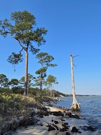 Naval Station Live Oaks Trail