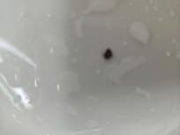 Dirt in bathtub