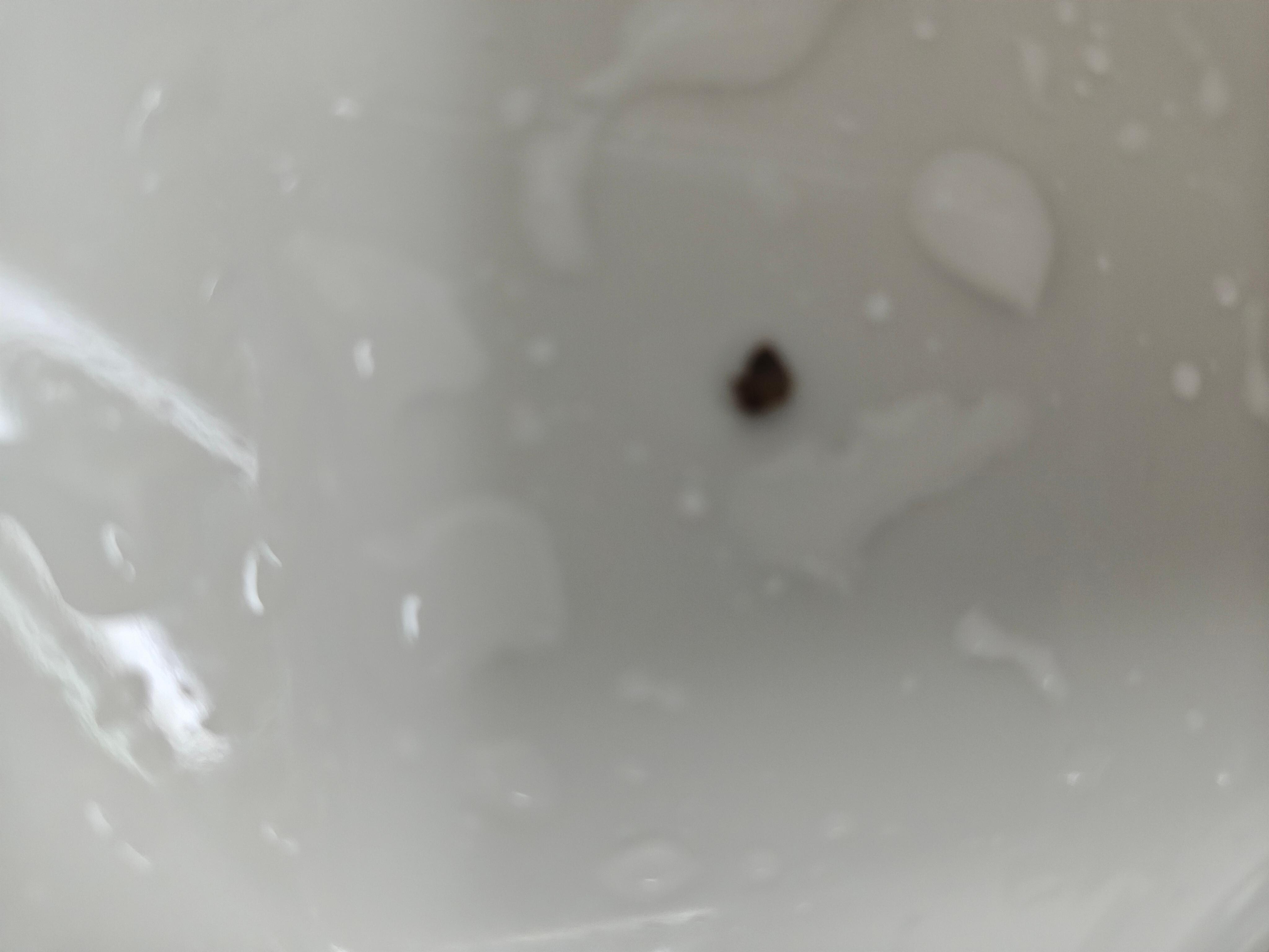 Dirt in bathtub