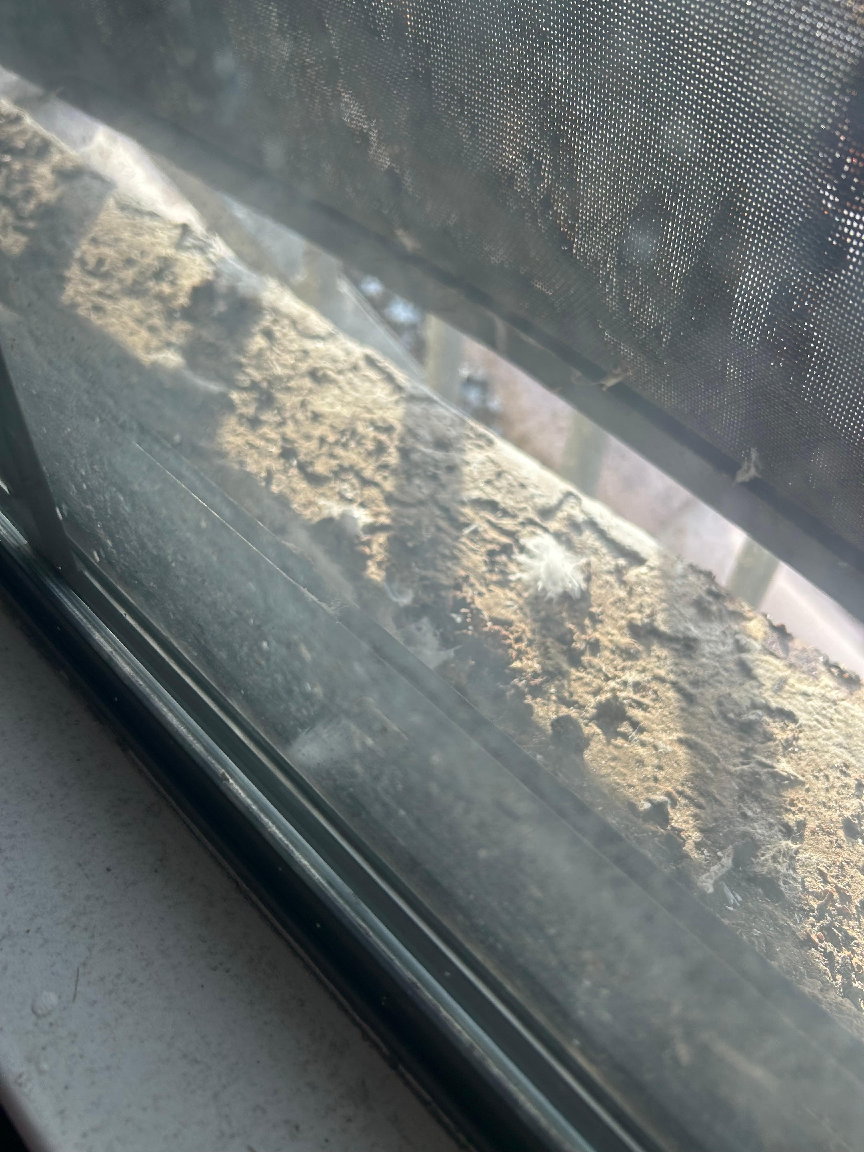 Great View- bird poop all over 